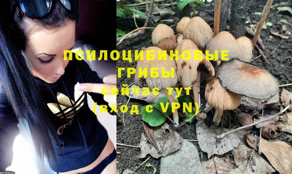 прущая мука Белокуриха