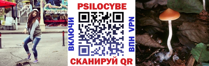Галлюциногенные грибы Psilocybe  KRAKEN ссылка  Приволжский  купить наркотики цена 